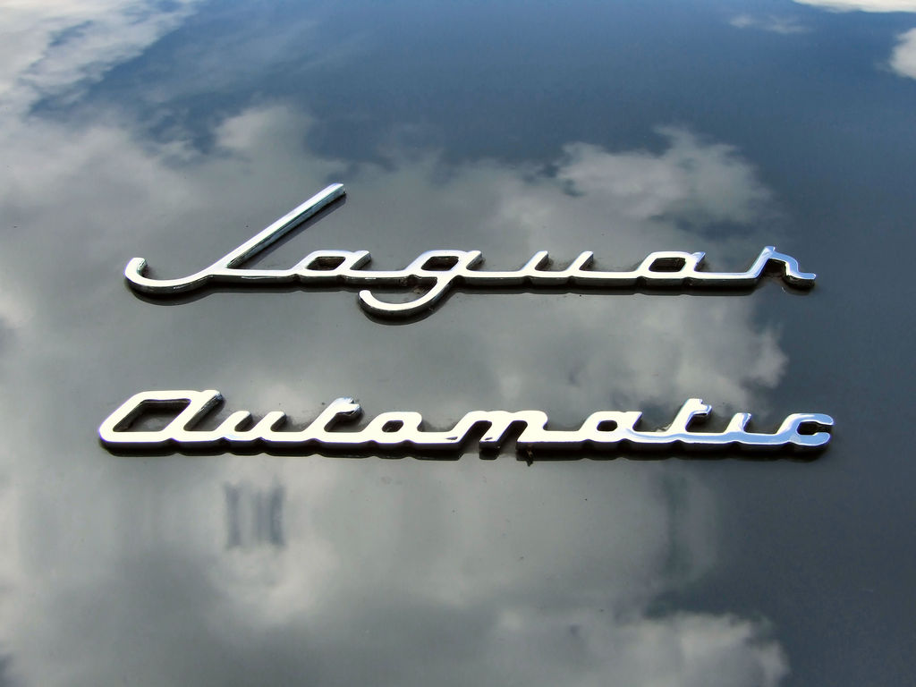Jaguar à Vannes 2 : Jaguar (120).JPG