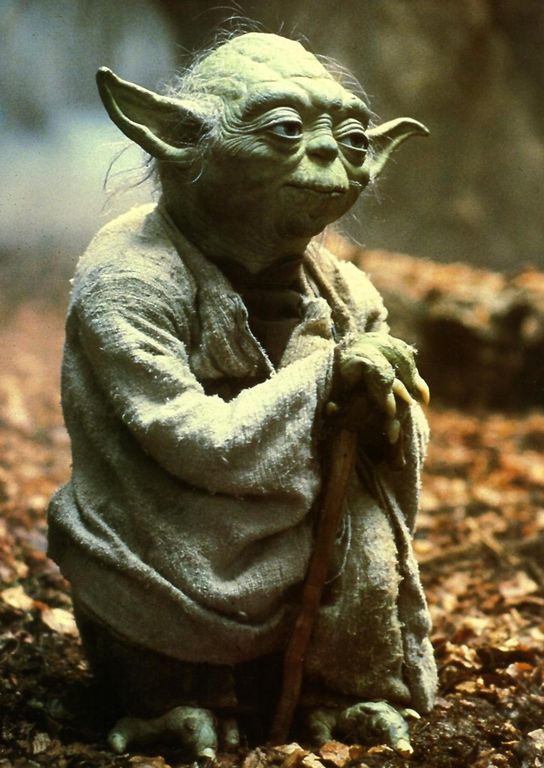 yoda : yoda.jpg