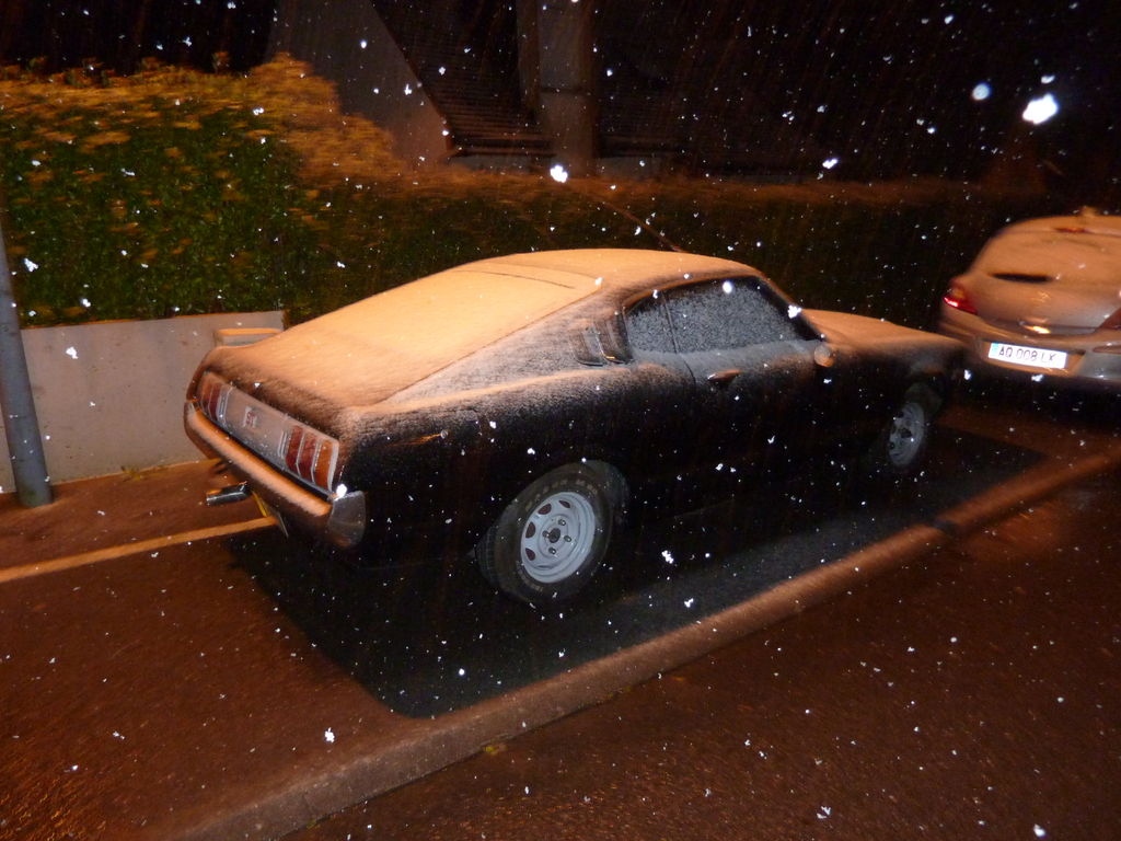 neige 1 et 2 décembre 2010 008 : neige 1 et 2 décembre 2010 008.JPG