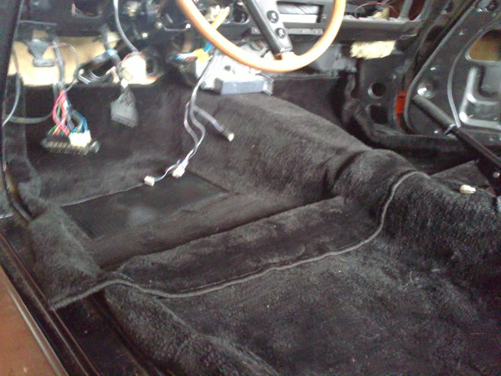Moquette : 06112010078.JPG