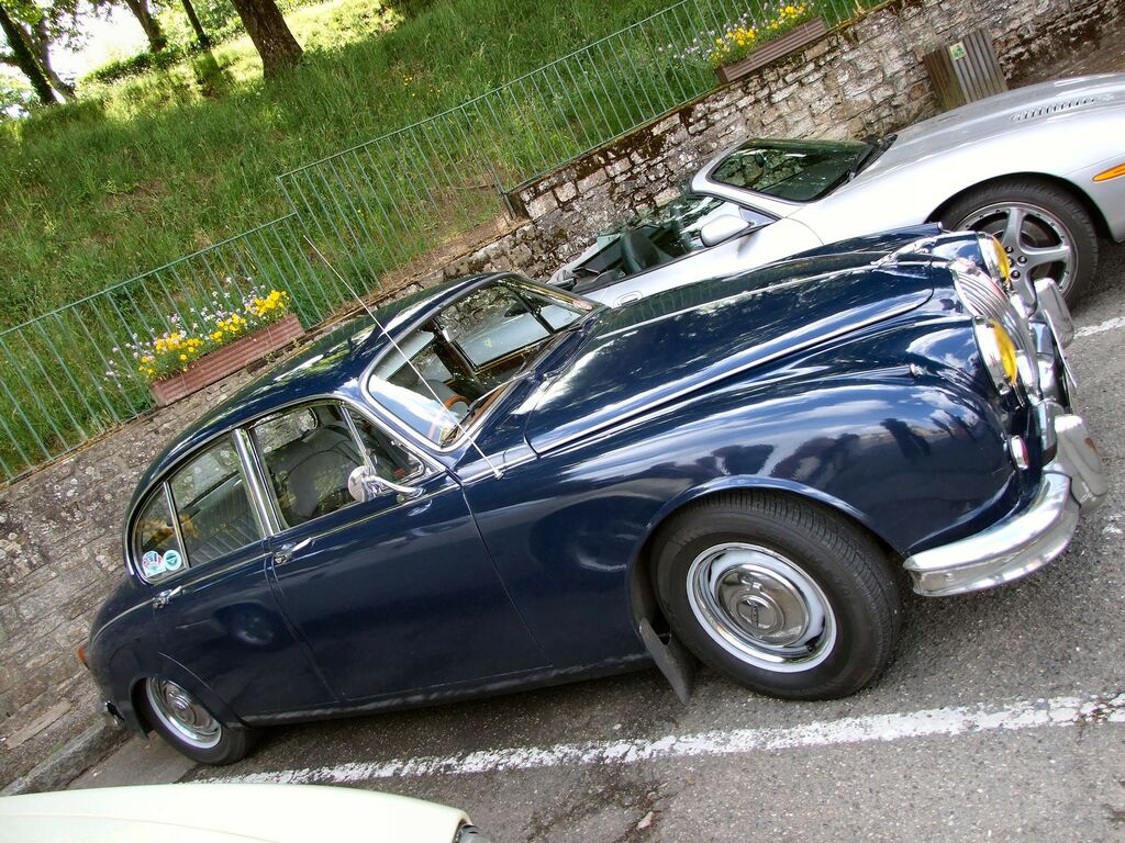 Jaguar à Vannes 2 : Jaguar (160).JPG