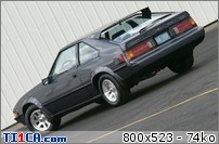 SUPRAS DU NET : SUPRAS DU NET-yes2 (1).jpg
