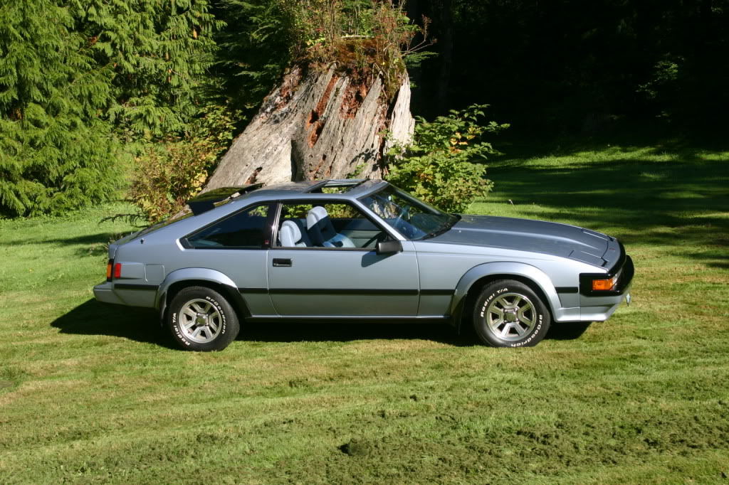 SUPRAS DU NET : SUPRAS DU NET-stump2.jpg