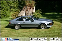 SUPRAS DU NET : SUPRAS DU NET-stump2.jpg