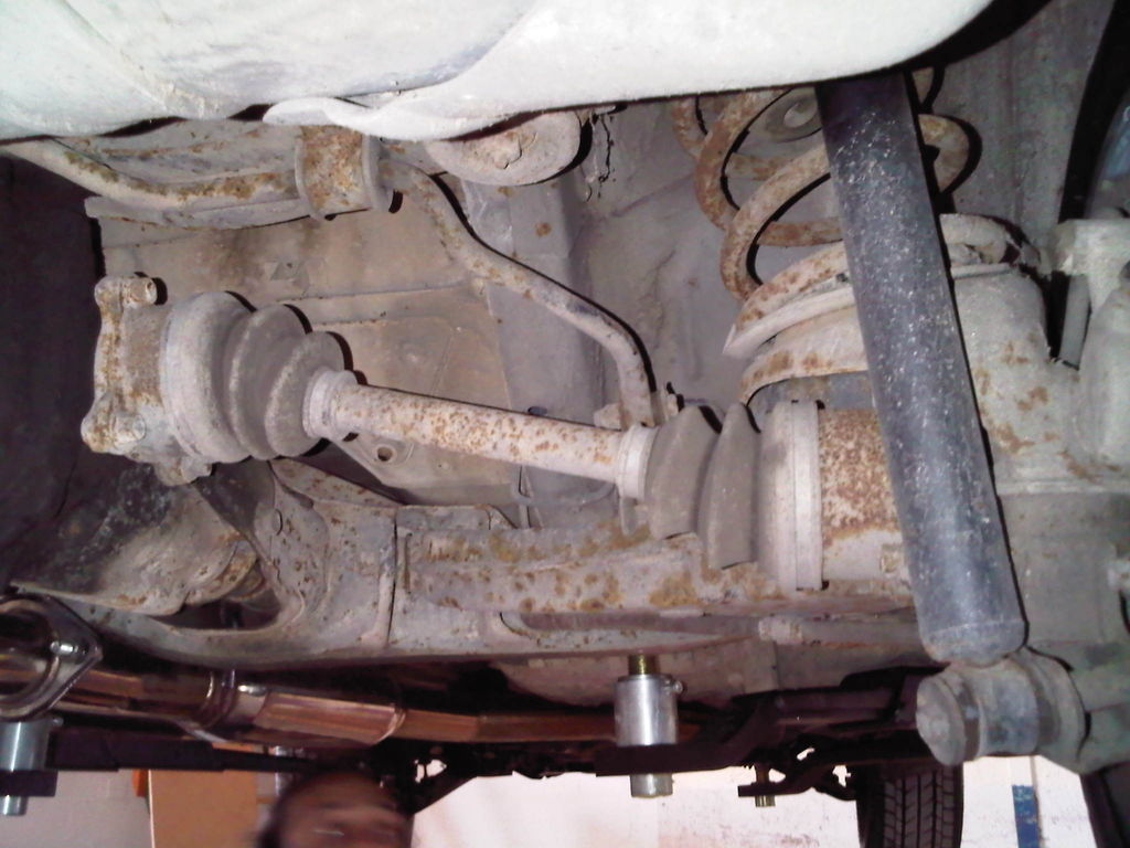 SUPRA : SUPRA-IMG00128-20110611-1524.jpg