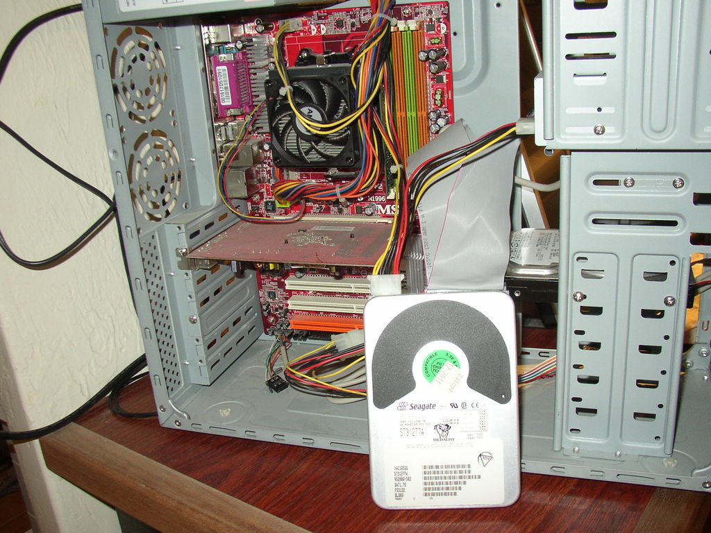 P1010418 : P1010418.JPG