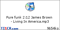 Pure funk 2 : 12 James Brown - Living In America.mp3