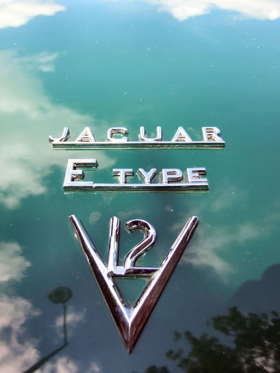 Jaguar à Vannes 2 : jaguar (189).JPG