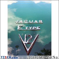 Jaguar à Vannes 2 : jaguar (189).JPG