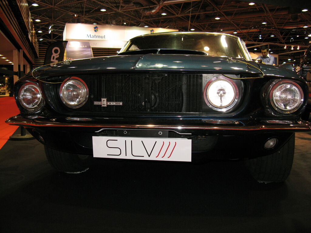 vraies voitures : vraies voitures-salon de l auto 2011 012.JPG