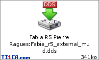 Fabia R5 Pierre Ragues : Fabia_r5_external_mud.dds