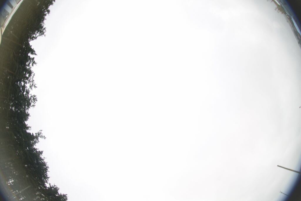 IMG 0612 : IMG_0612.JPG