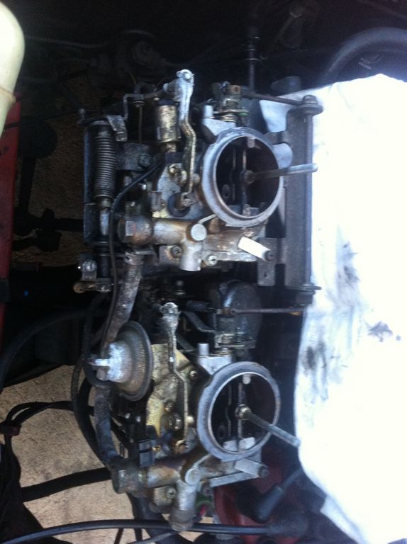 IMG 1376 : IMG_1376.JPG
