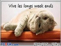 img http://mk1.ti1ca.com/9kckha8k.jpg /img