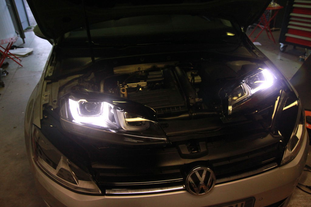 IMG 9958 : IMG_9958.JPG