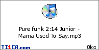 Pure funk 2 : 14 Junior - Mama Used To Say.mp3