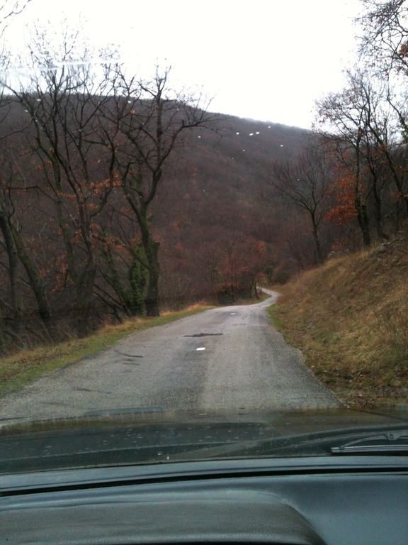 IMG 0529 : IMG_0529.JPG