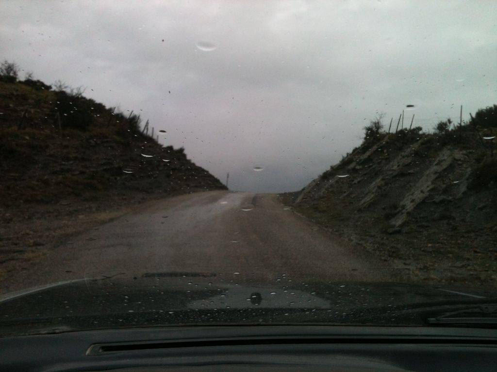 IMG 0539 : IMG_0539.JPG