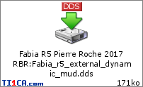 Fabia R5 Pierre Roche 2017 RBR : Fabia_r5_external_dynamic_mud.dds