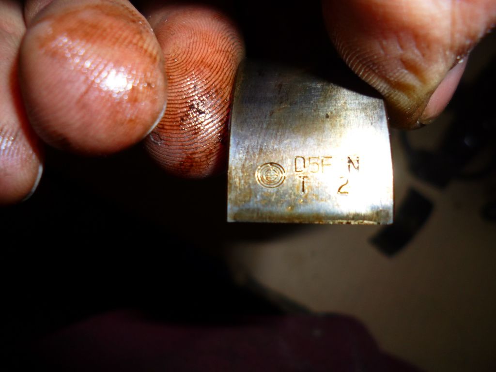 AW11 : P1000035.JPG