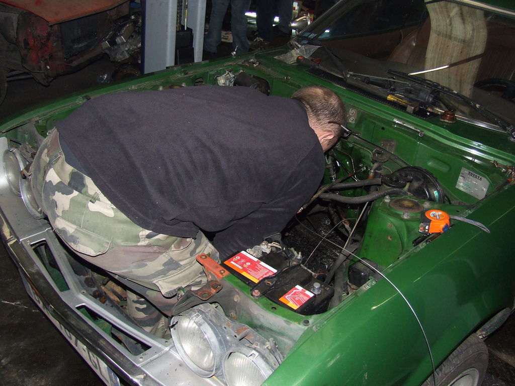VERTE BERT 2TG 015 : VERTE BERT 2TG 015.JPG