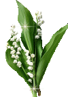 img http://mk1.ti1ca.com/bou1mqba.jpg /img