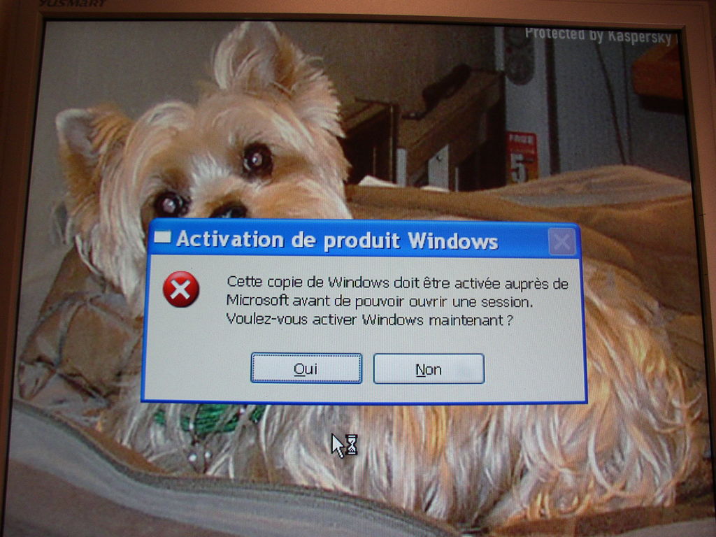 Photo 001 : Photo 001.jpg