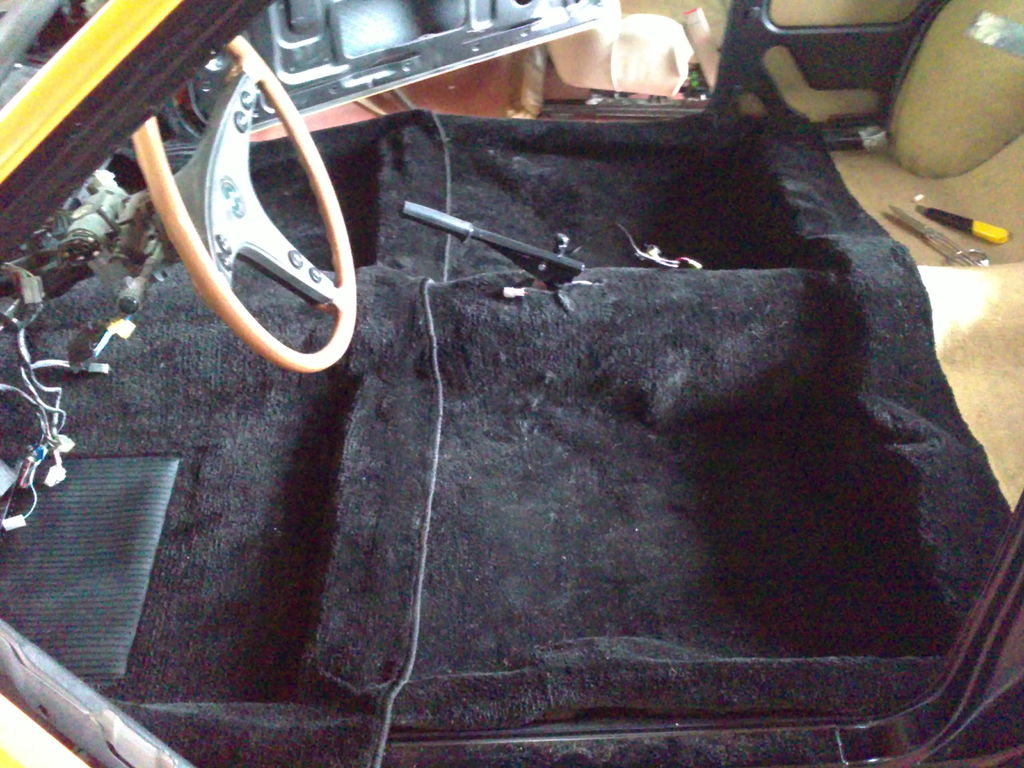 Moquette : 06112010075.JPG