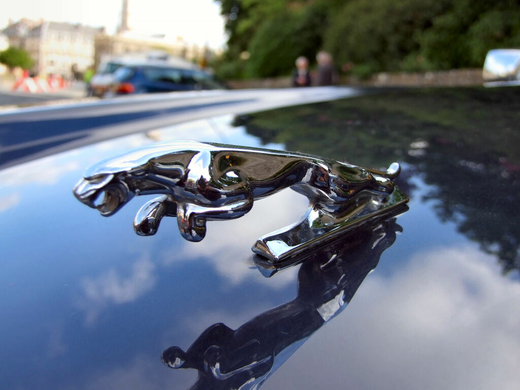 jaguar à Vannes 1 : Jaguar (7).JPG
