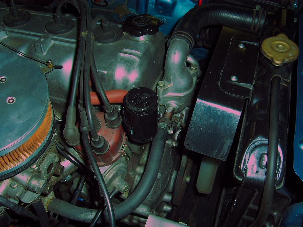000 0291[1] : 000_0291[1].JPG