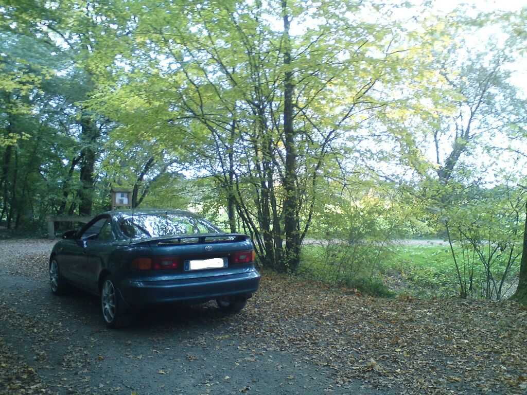 DSC03546 : DSC03546.JPG