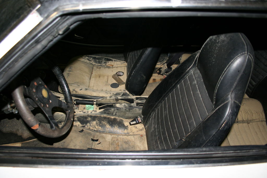 IMG 0348 : IMG_0348.JPG