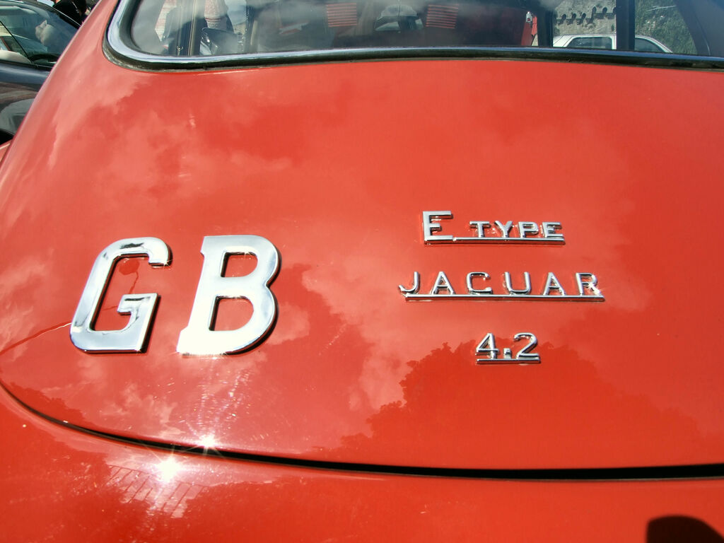 jaguar à Vannes 1 : Jaguar (43).JPG