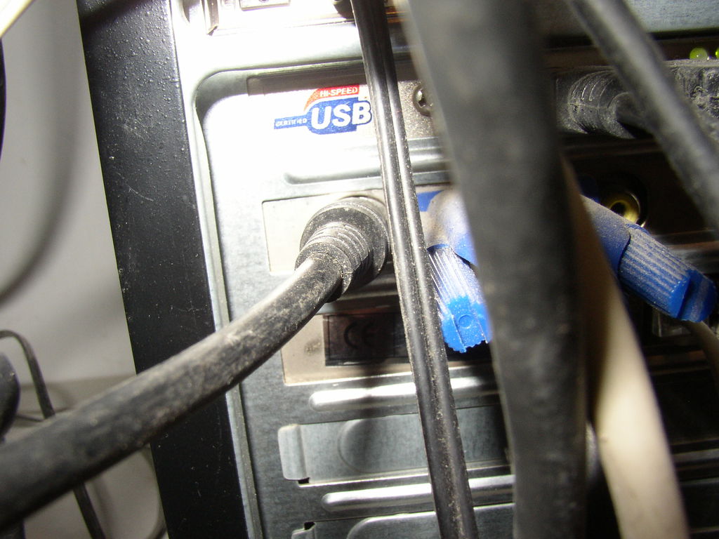 P1010302 : P1010302.JPG