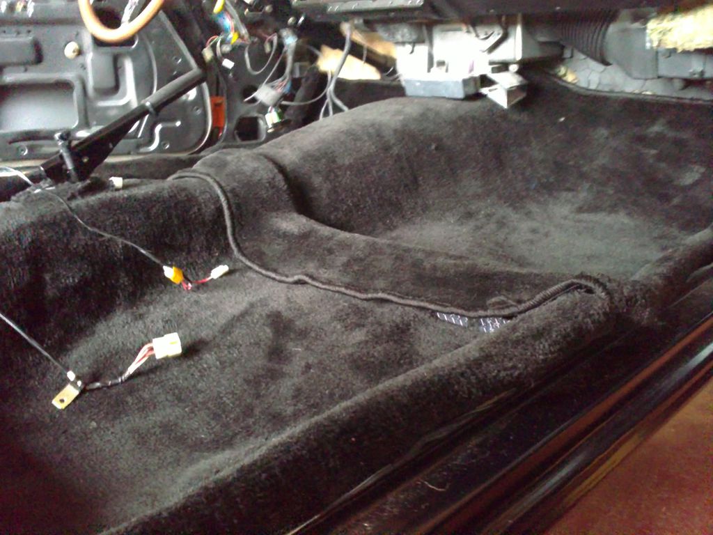 Moquette : 06112010080.JPG