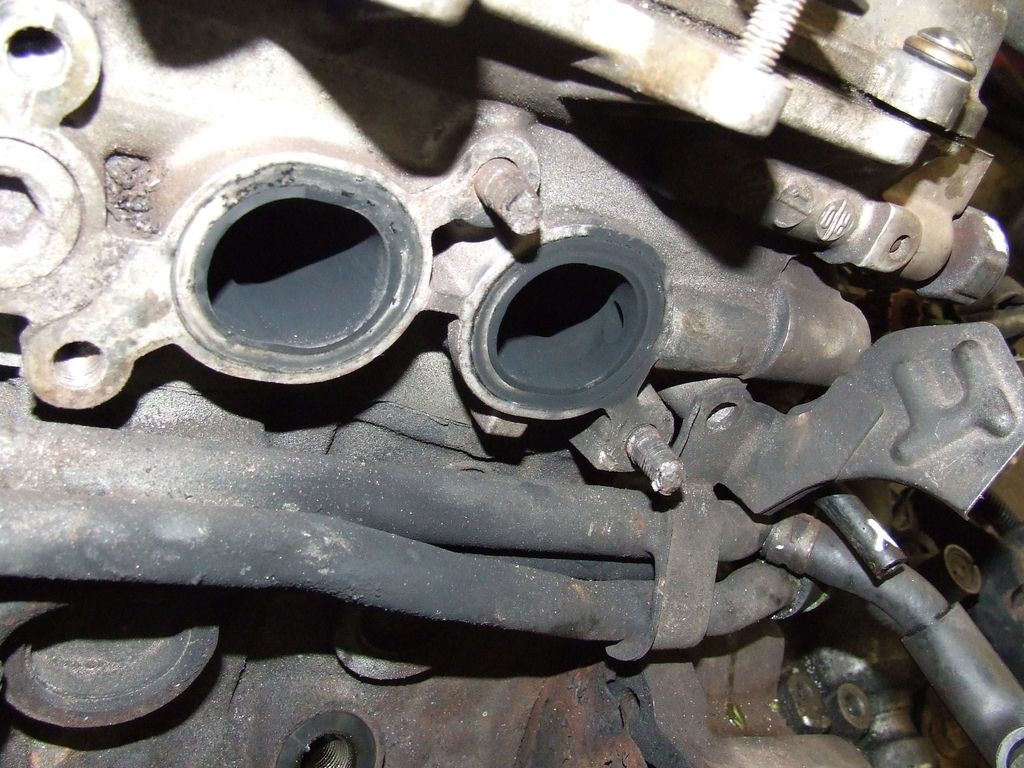 moteur GT4 005 : moteur GT4 005.JPG