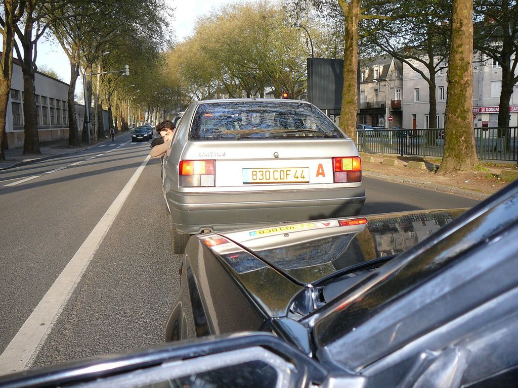 comtesse : comtesse-P1030444 [1600x1200].JPG