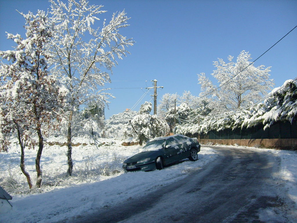 S7303437 : S7303437.JPG