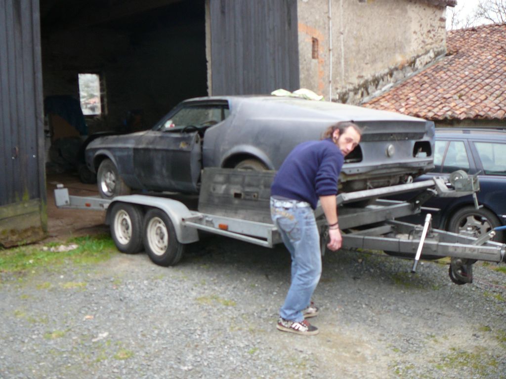 MUSTANG : MUSTANG-P1100573.JPG