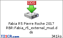 Fabia R5 Pierre Roche 2017 RBR : Fabia_r5_external_mud.dds