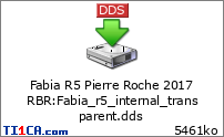 Fabia R5 Pierre Roche 2017 RBR : Fabia_r5_internal_transparent.dds