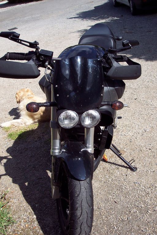 Buell : 100_2743.JPG