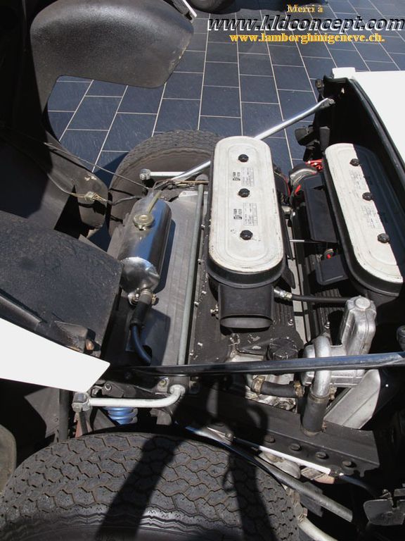 Muria G White : IMG_1157.jpg