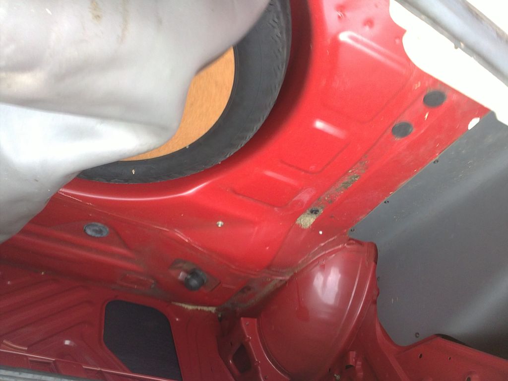 Corona : 08122010179.JPG