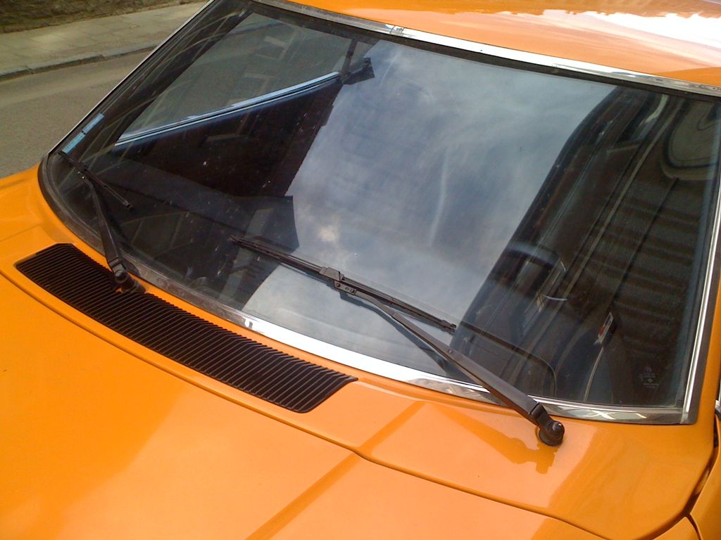 IMG 0195 : IMG_0195.JPG