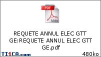 REQUETE ANNUL ELEC GTT GE