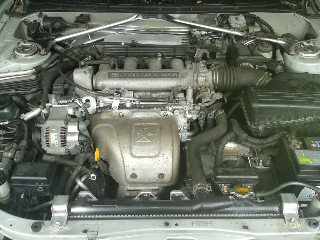 20130609 175624 : 20130609_175624.jpg