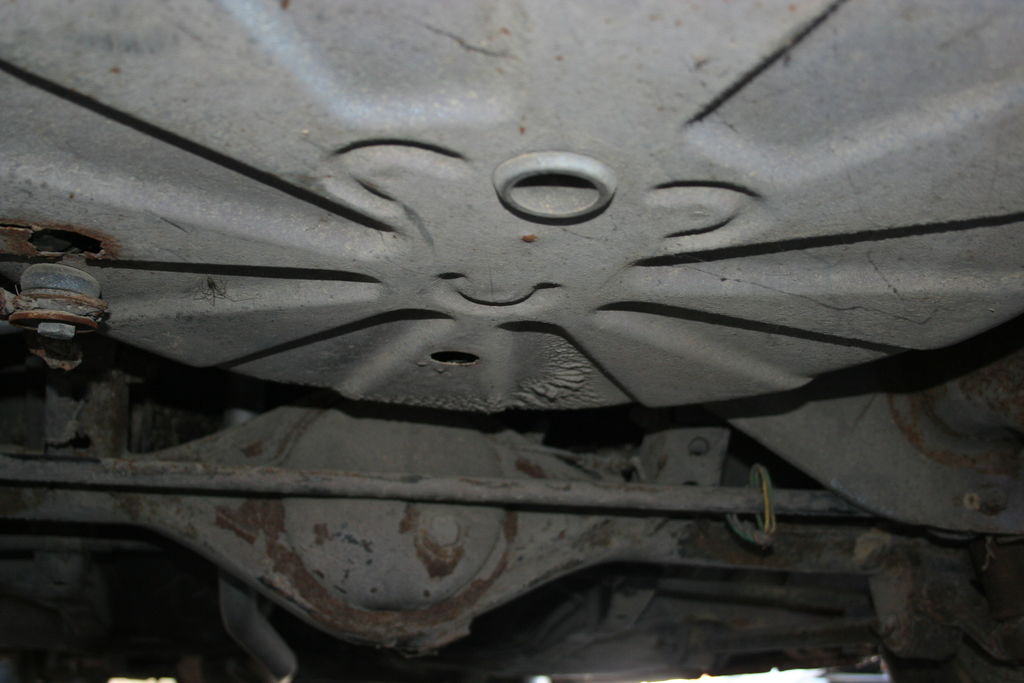 IMG 0298 : IMG_0298.JPG