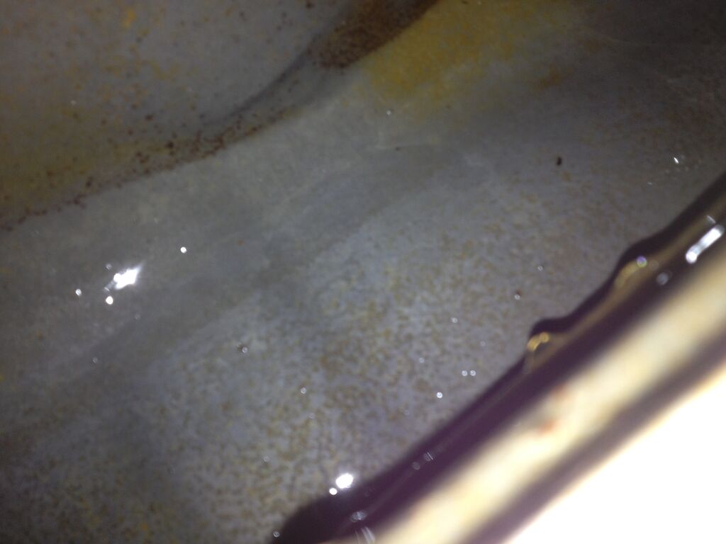 IMG 0674 : IMG_0674.JPG