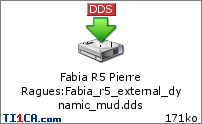 Fabia R5 Pierre Ragues : Fabia_r5_external_dynamic_mud.dds
